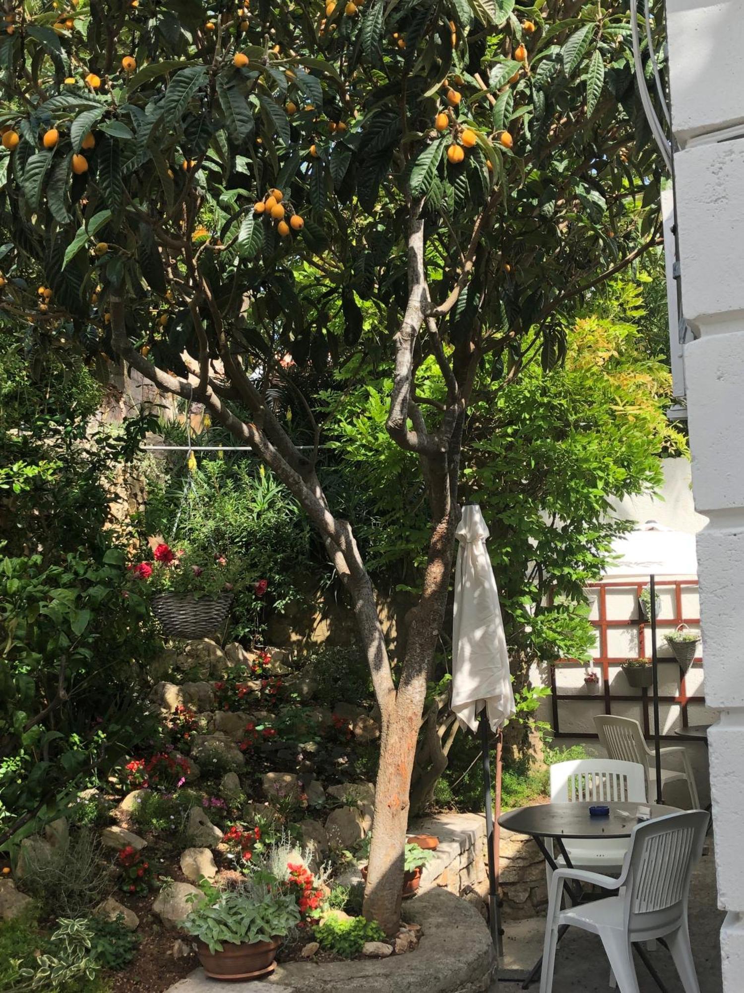 Apartments Veli Losinj Ngoại thất bức ảnh