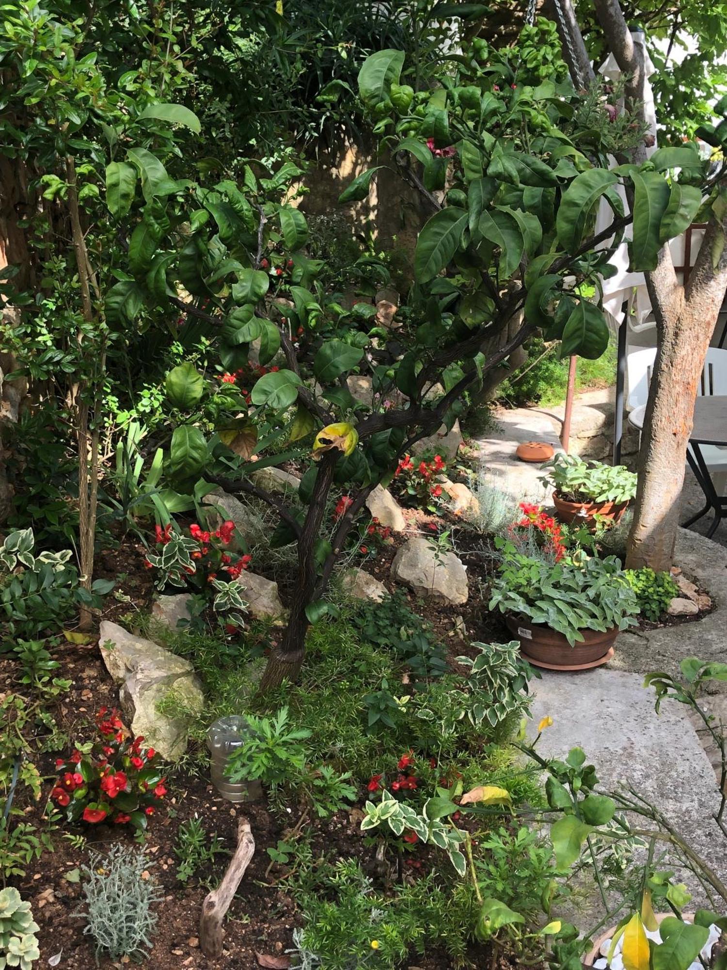 Apartments Veli Losinj Ngoại thất bức ảnh