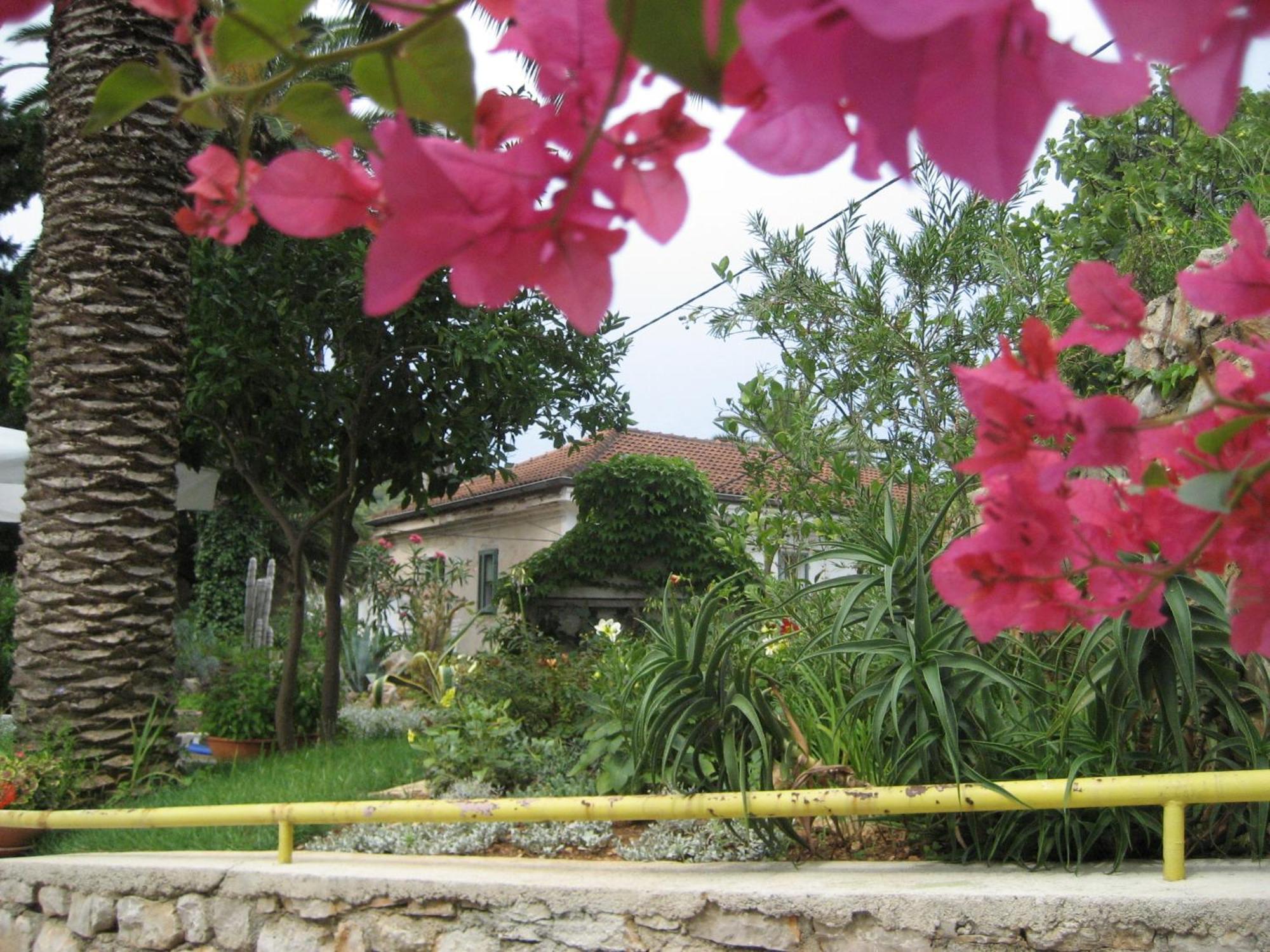 Apartments Veli Losinj Ngoại thất bức ảnh
